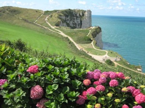 Agréable maison dans village charmant avec commerces, près des plages, Étretat, Deauville, Fécamp...