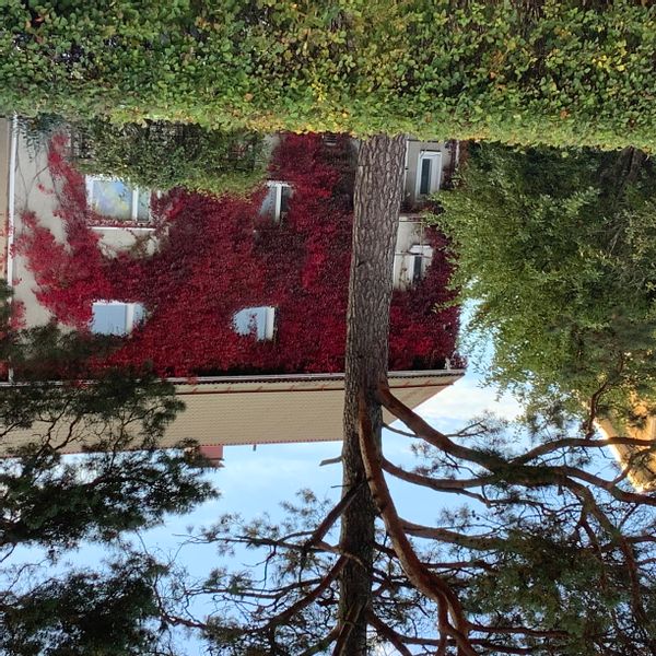 La maison de Marja-Sisko