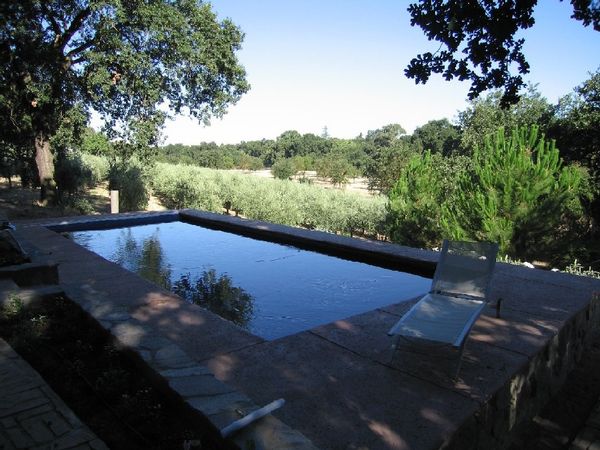 Large pool with views of the park and our neighbors olive orchard and vineyard