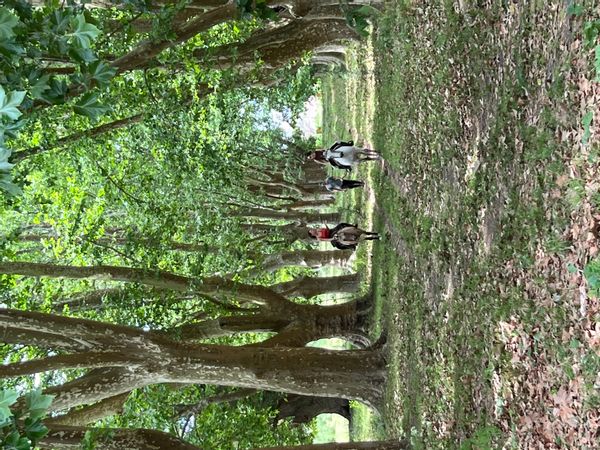 La maison de Luz & Martin