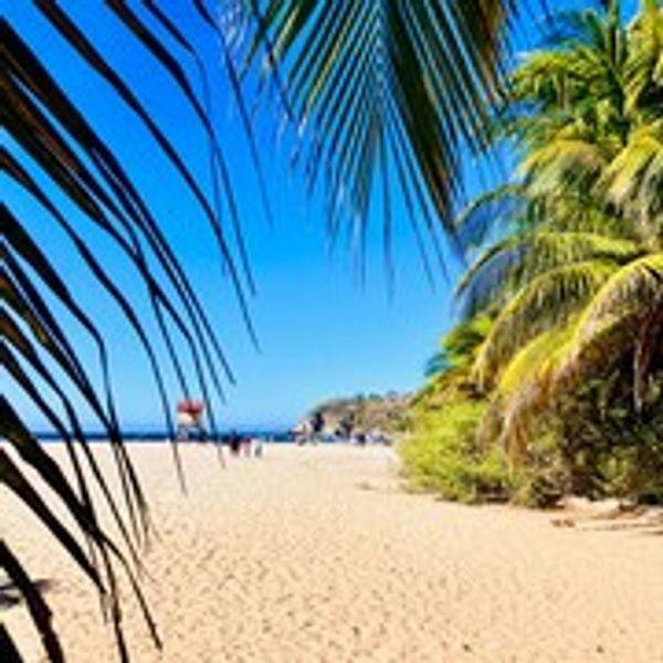 La maison de Mark and Michele