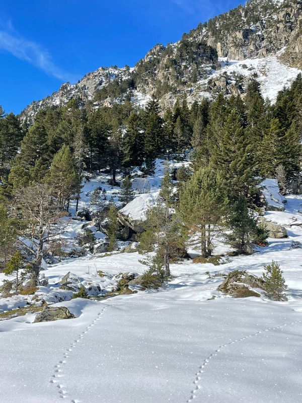 Casa de Laurent Et Frédérique