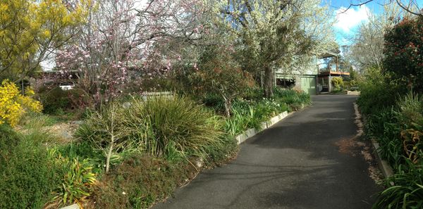 Canberra city home with a side gate to the bush