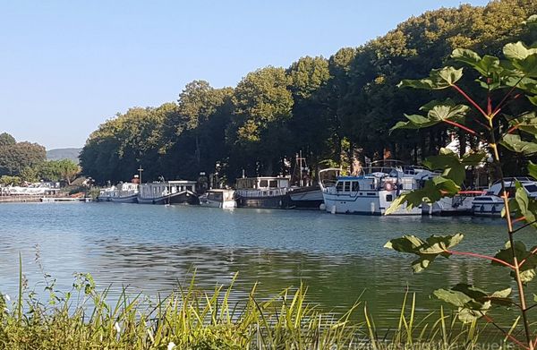 UNE CHAMBRE SUR  L'EAU  AU COEUR DES COTEAUX DE CHAMPAGNE