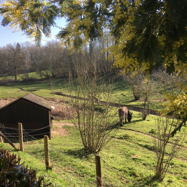 Home in Rouillon