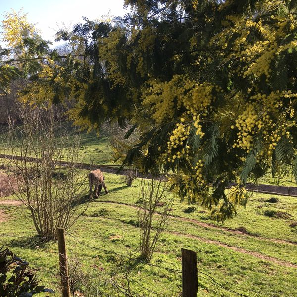 Casa de François Et Francine