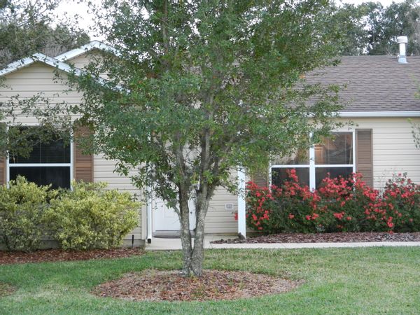 Vacation in sunny central Florida - close to Disney and Florida beaches!