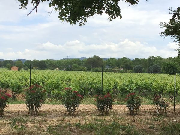 La maison de Brigitte