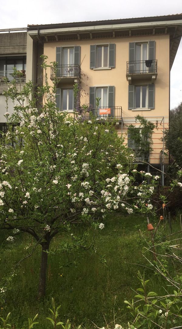 La maison de Lorenzo