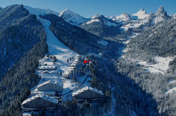 Family SKI and HIKING in the SWISS ALPS - 25 minutes from Lake Leman