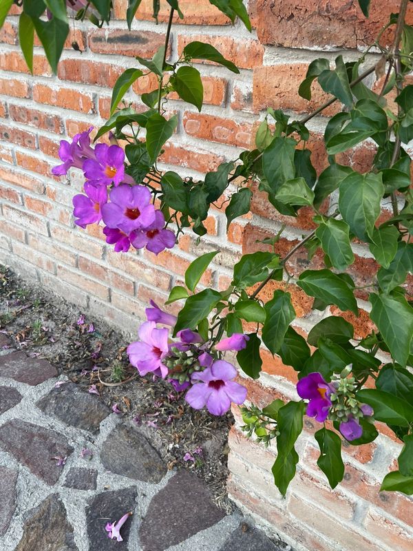 Casa de Sol