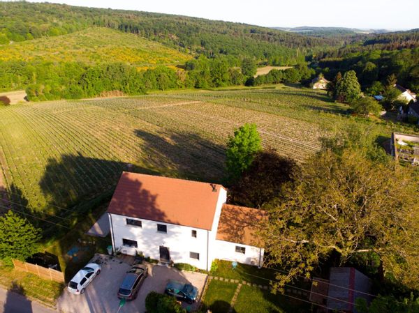 Au coeur de la champagne -  dispo du 12 au 27 février 2026