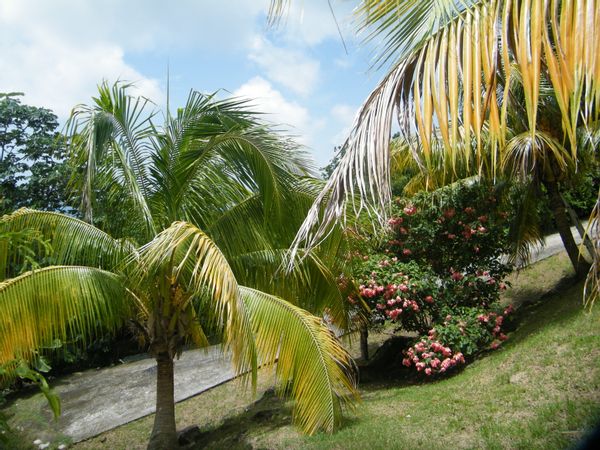 La maison de Lise-Anne