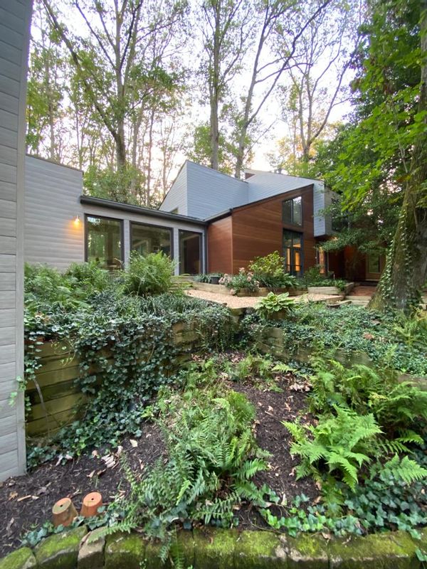 Sunny, Contemporary house in wooded Washington DC Area
