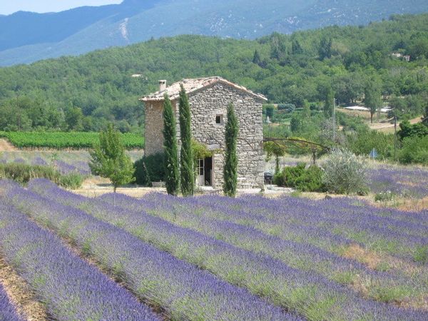 Prettiest lavender cottage in Provence!