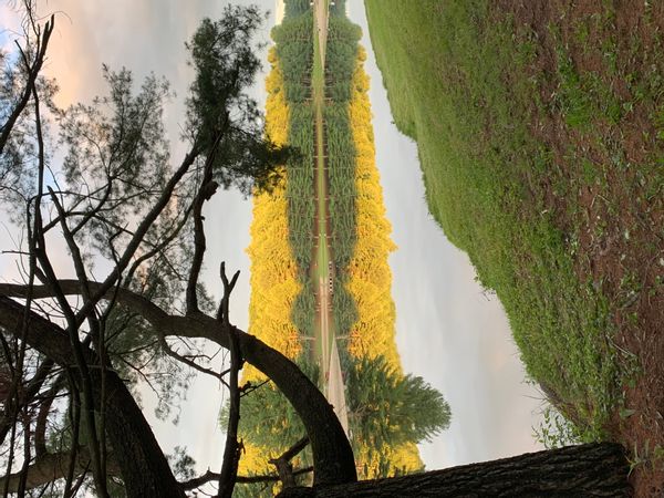 La maison de Carolyn