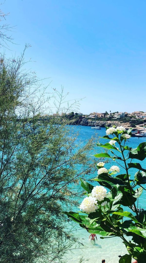 L’appartement de Laurence et Charles