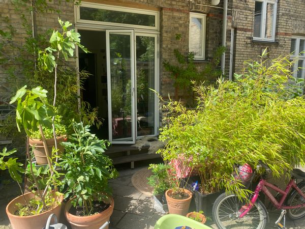 La maison de anna rosa