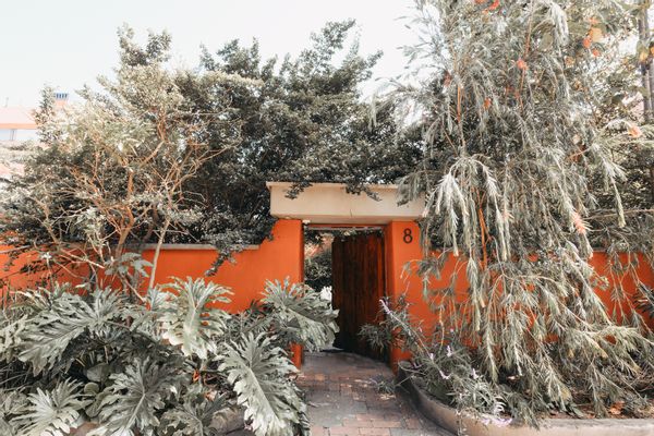 Green oasis in Bogotá