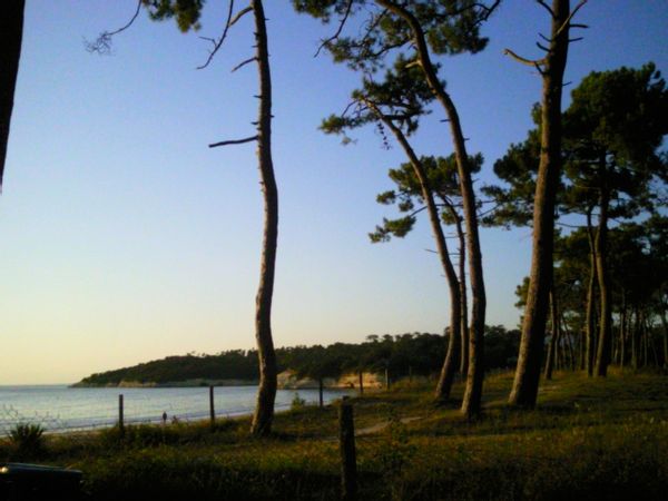 agréable maison avec jardin campagne et mer  en Charentes maritimes .