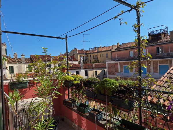 Cecilia's house