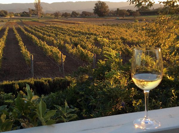 Wine Country Living!