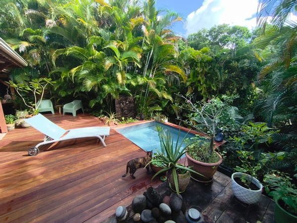 Tite Kaz en bois dans la forêt proche des lagons