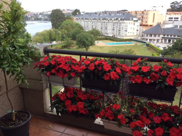 La maison de J. Emilio