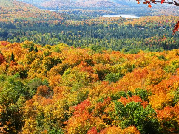 Laurentides! Près Tremblant! 3 acres, confortable,  privé,bord d’eau! Bateaux, nombreuses activités!