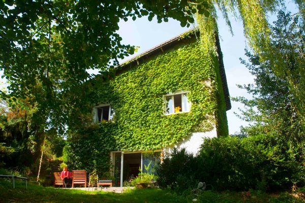 Cocon de verdure au bord d'un ruisseau enchanteur