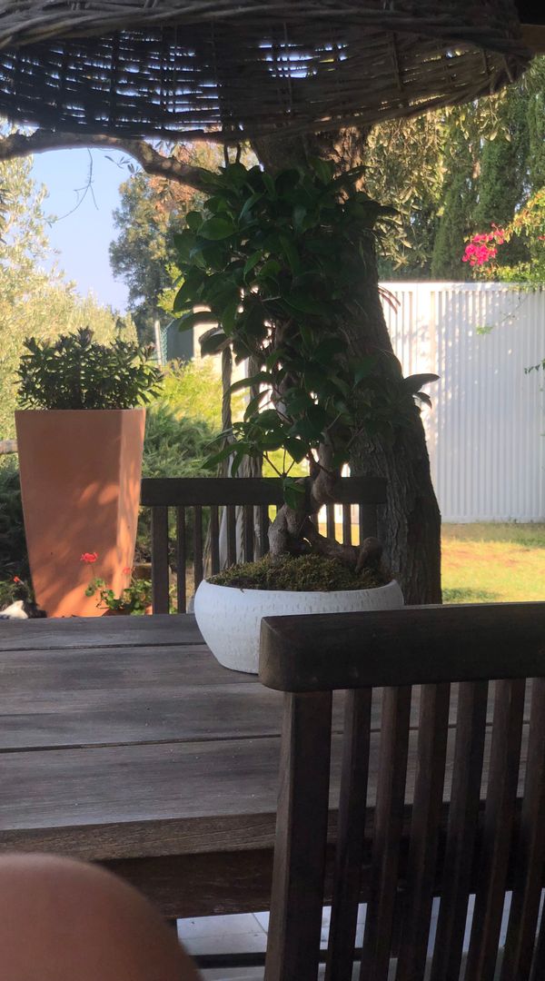 La maison de Riccardo