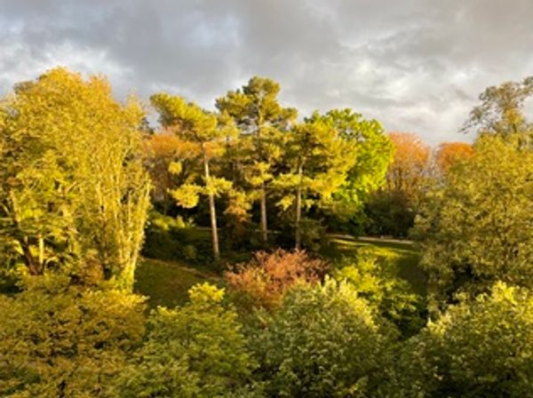 Appartement avec vue sur Parc