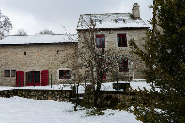 Les Digitales en Margeride