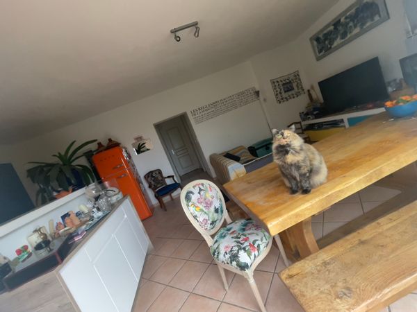 J’peux pas j’monte au village