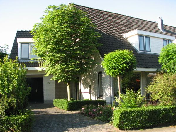 Comfortable home in rural south-west Netherlands.