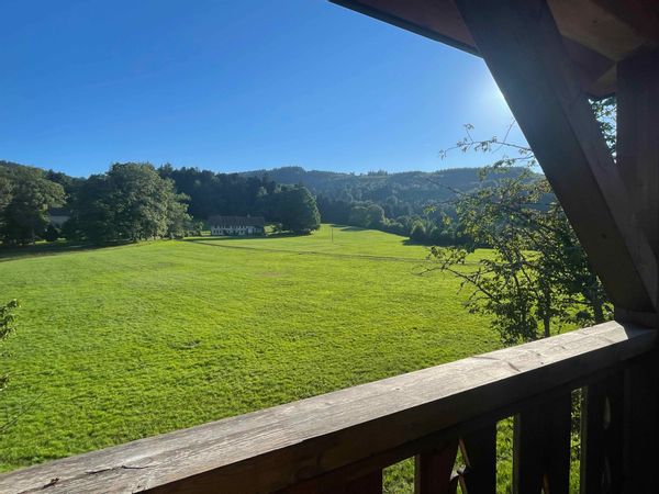 Une clairière dans la forêt