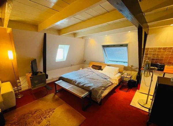 APARTMENT IN GREAT HOUSE NEXT TO THE FOREST AND WITH LOVELY GARDEN IN VILLAGE BEEK-UBBERGEN, NEAR NIJMEGEN, THE NETHERLANDS