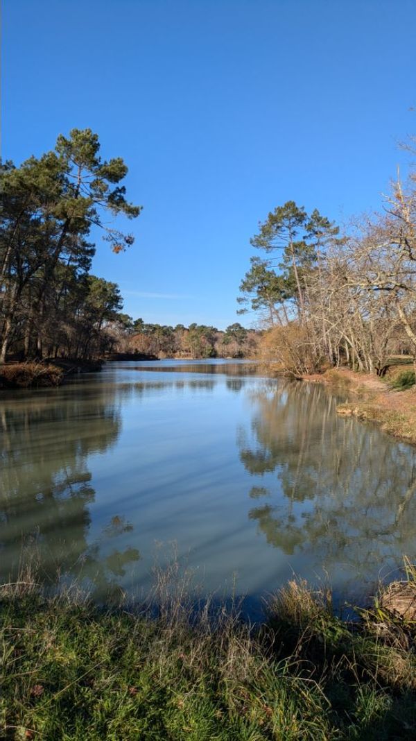 Chambre privé au calme/ Nous mettons à votre disposition une chambre et une salle d'eau attenante.