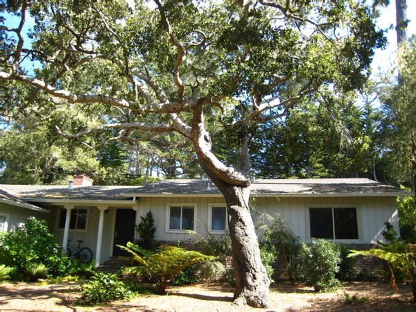 La maison de Jim & Pascale