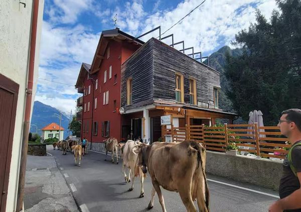 Nature et détente en Valteline : résidence avec piscine, sauna et bain à remous