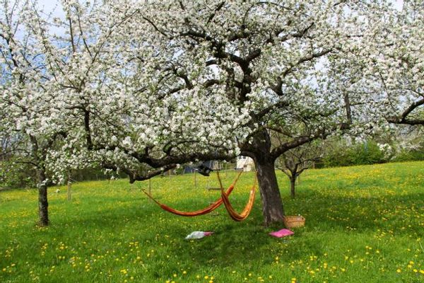 The perfect place for a nice, relaxing or active vacation in summer 2025