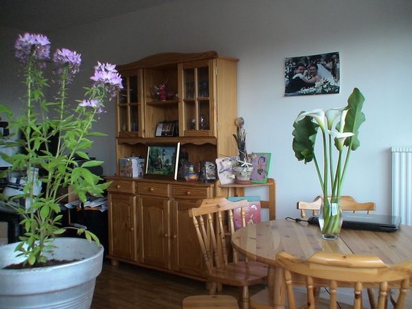Cosy home in Voiron next to ski resorts