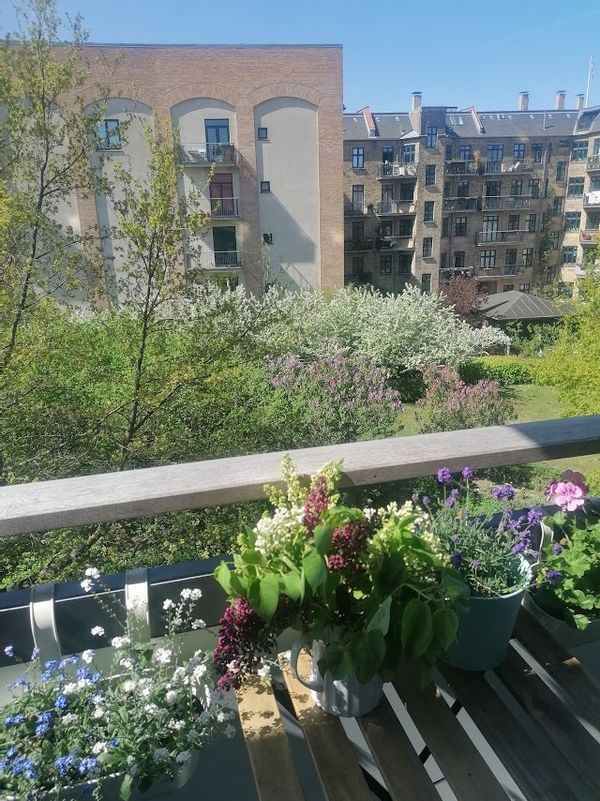 Central Copenhagen, charming flat with balcony and fantastic backyard
