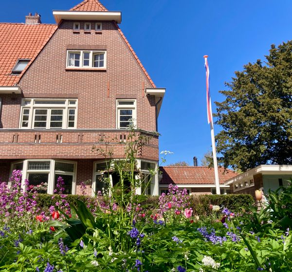Casa de Wilco