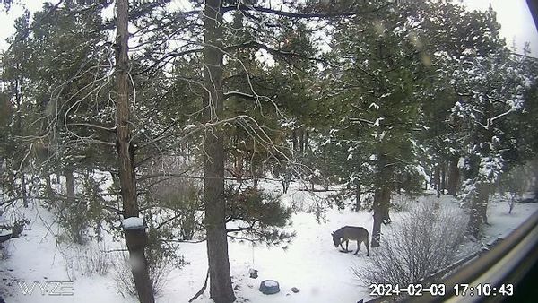 La maison de Marianne