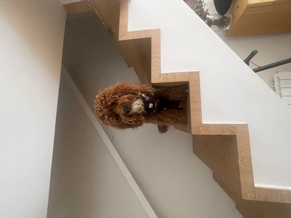 La maison de Florian