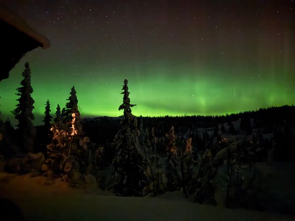 Mona and Hemings hus