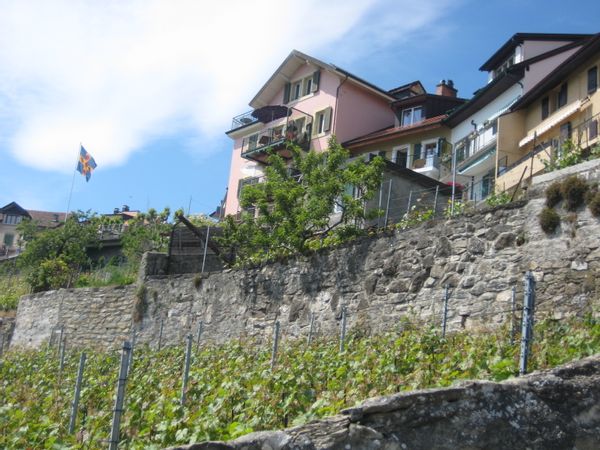 Within UNESCO World Heritage Site. Exceptional view of lake and Alps.