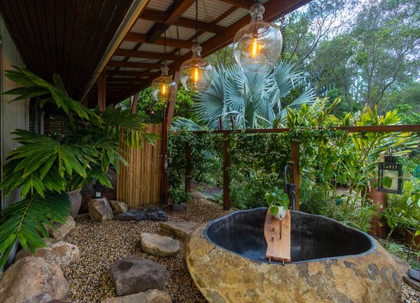 Enjoy the wildlife in this subtropical oasis