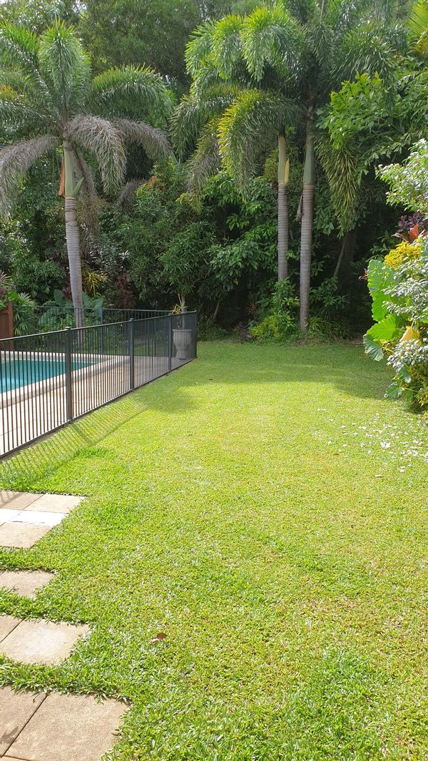 Agnes and Hugues' house in the tropics